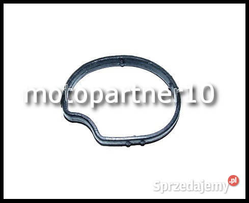 USZCZELKA TERMOSTATU FORD CONNECT FOCUS MONDEO Głogów