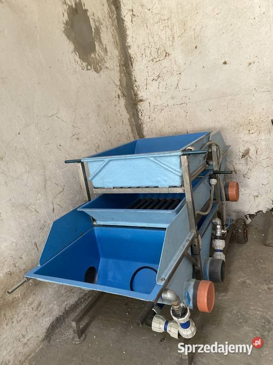 Sortownica do ryb na 3 sorty Jeleśnia