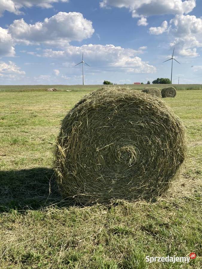 Sprzedam siano Doruchów