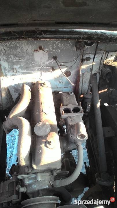 Aro Muscel M461 Szewce