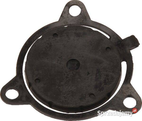 Zawór zwrotny 197755GS Kamionna