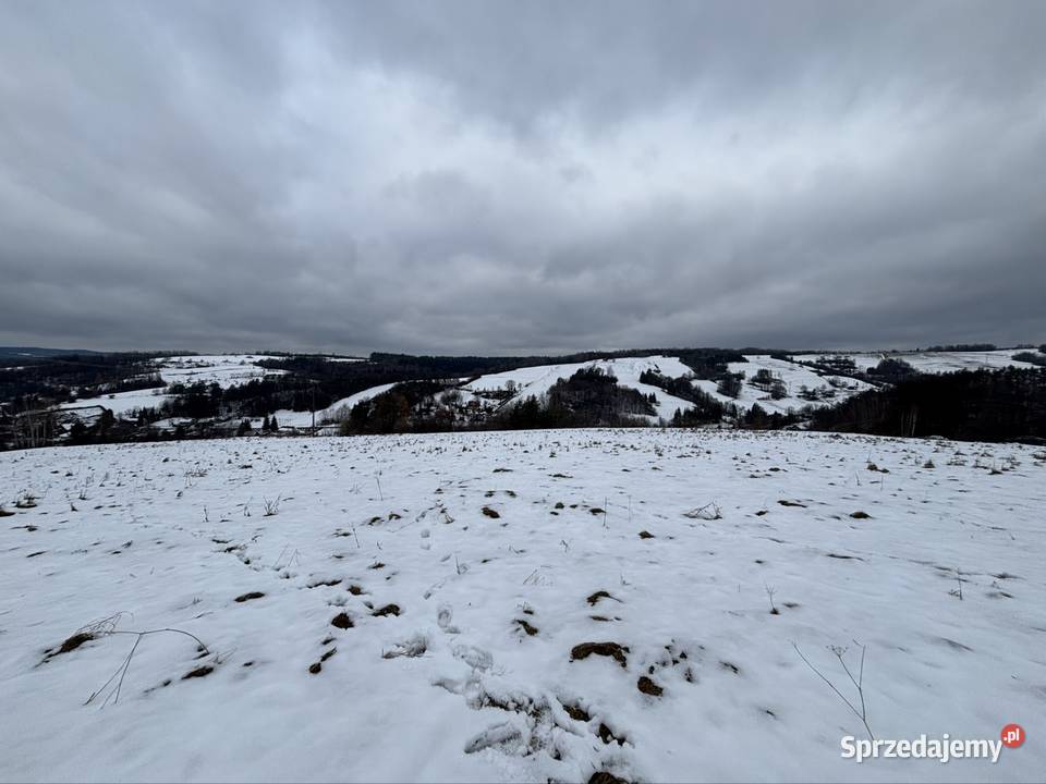Działka 40 a z warunkami zabudowy Korzeniec