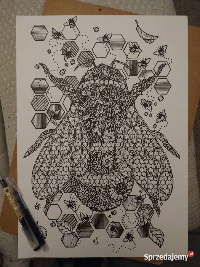 Rysunek trzmiel łąkowy cienk blok t A3 250 gm2 mazowieckie Warszawa sprzedam