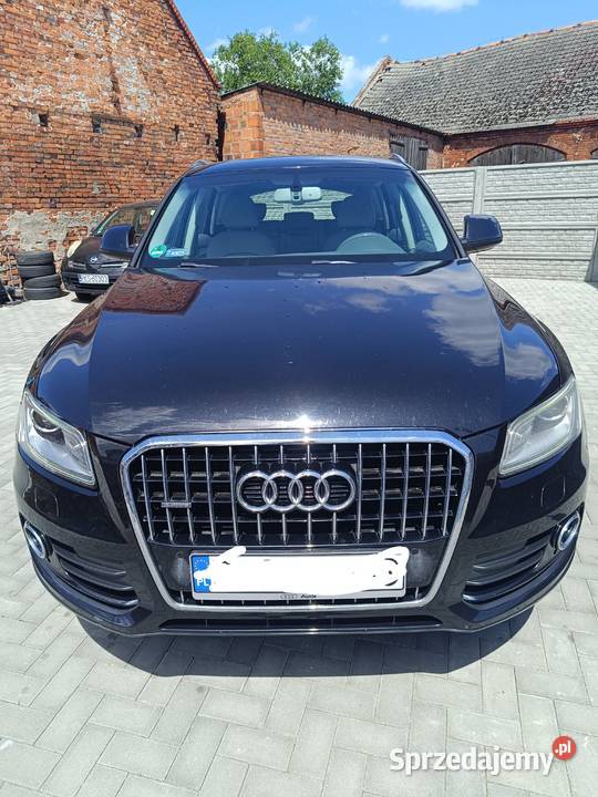 Audi Q5 Kościan
