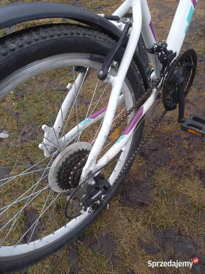 Rower ROMET JOLENE 24 Rowery i akcesoria Jędrzejów