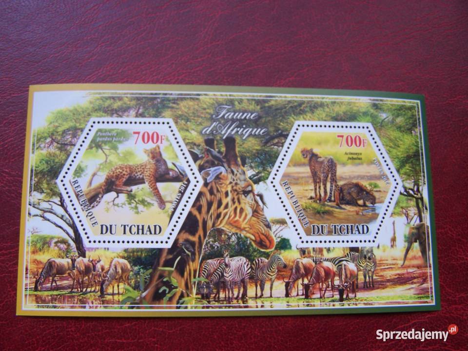 Czad 2014 MNH Fauna Dzikie Zwierzęta Afryki Tychy sprzedam