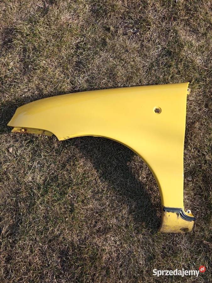 Błotniki L P Seicento Sporting Warszawa