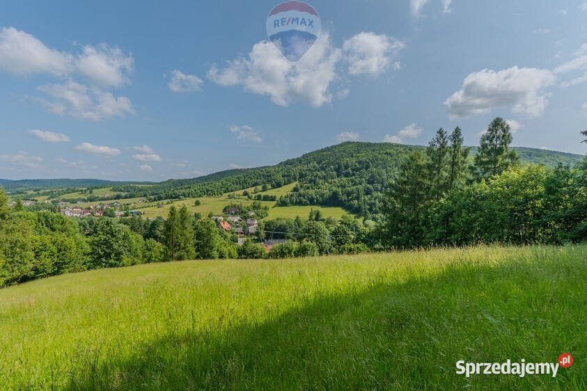 Działka leśna Rzyki Sprzedaż sprzedam