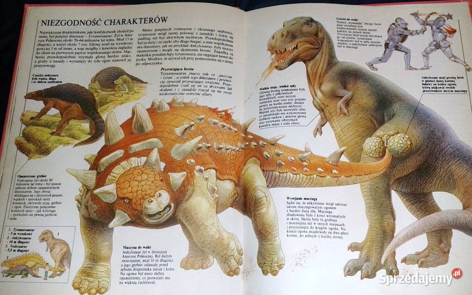 Życie prehistoryczne Steve Parker twarda Chełm