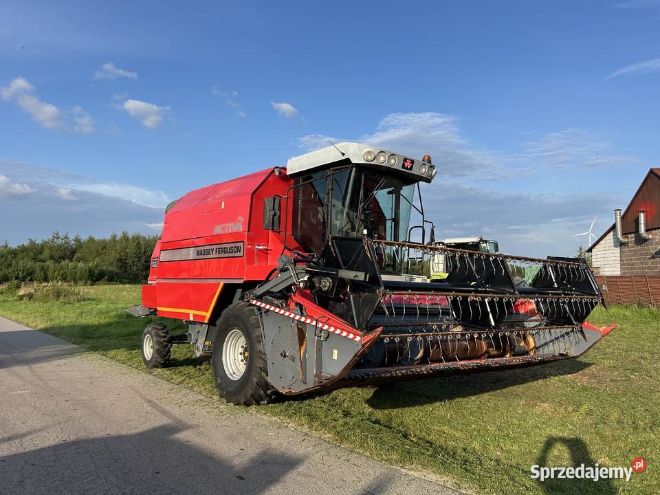 Massey Ferguson 7242 Activa 2003R Heder 42M nieuszkodzony Zbożowe Bogoria