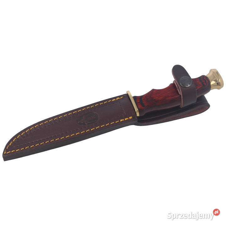 Nóż Muela BWF14 Pakka Wood Stain X50CrMoV15 mazowieckie Warszawa