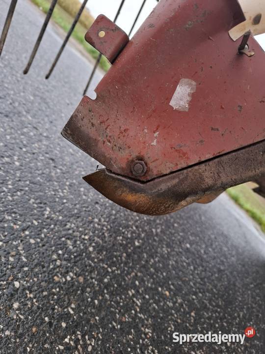 Siewnik Fiona Białynin sprzedam