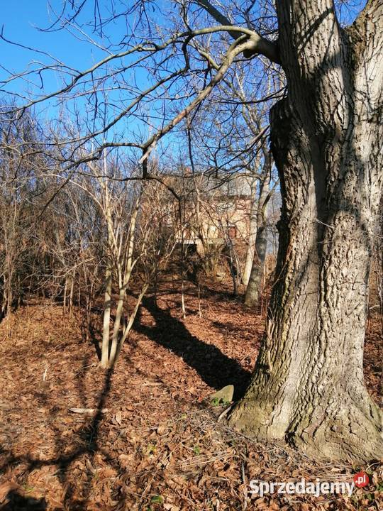 Duży dom z ogrodem i polem uprawnym Sielska taras Bliszczyce