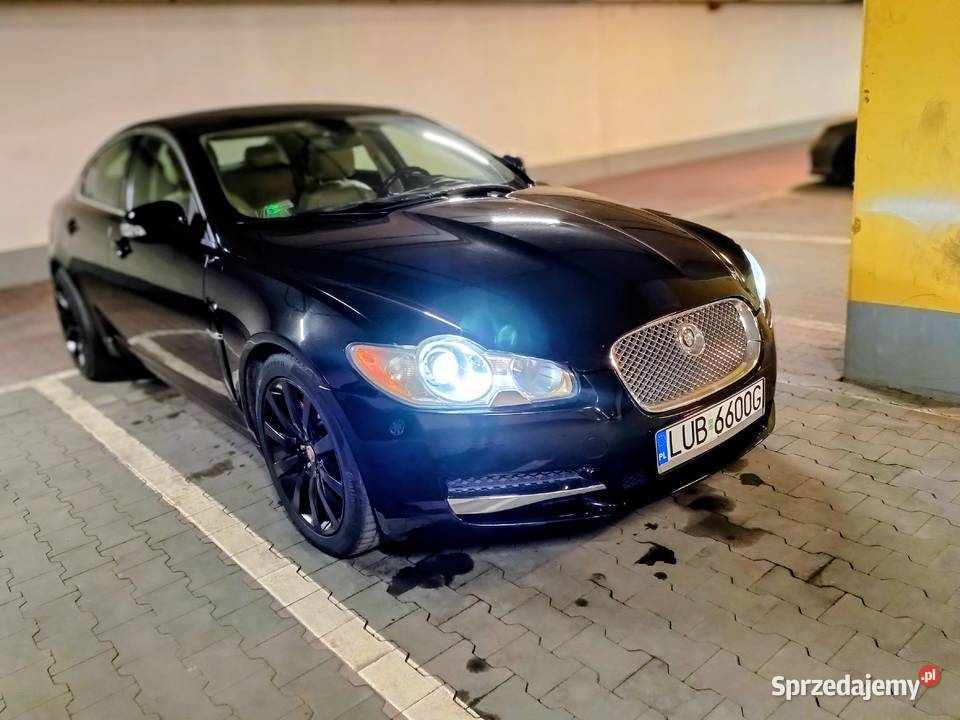 Jaguar xf