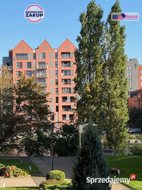 Mieszkanie Gdańsk Lastadia 50m2 Rok budowy 2007