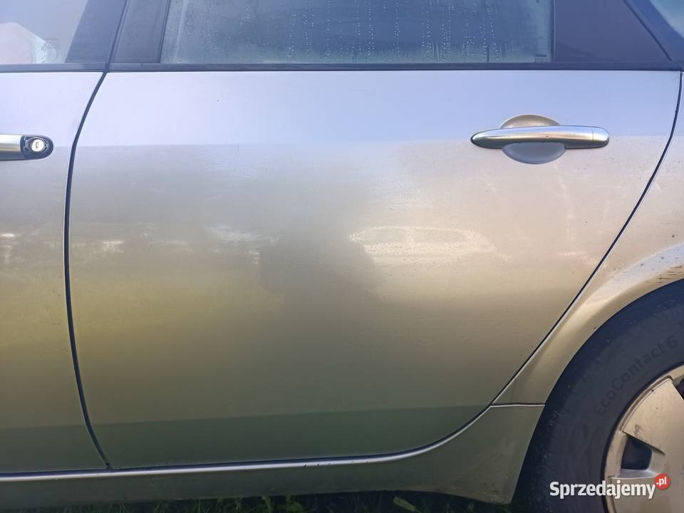 Drzwi lewy lewe tylne tył nissan primera P12 KYO zachodniopomorskie