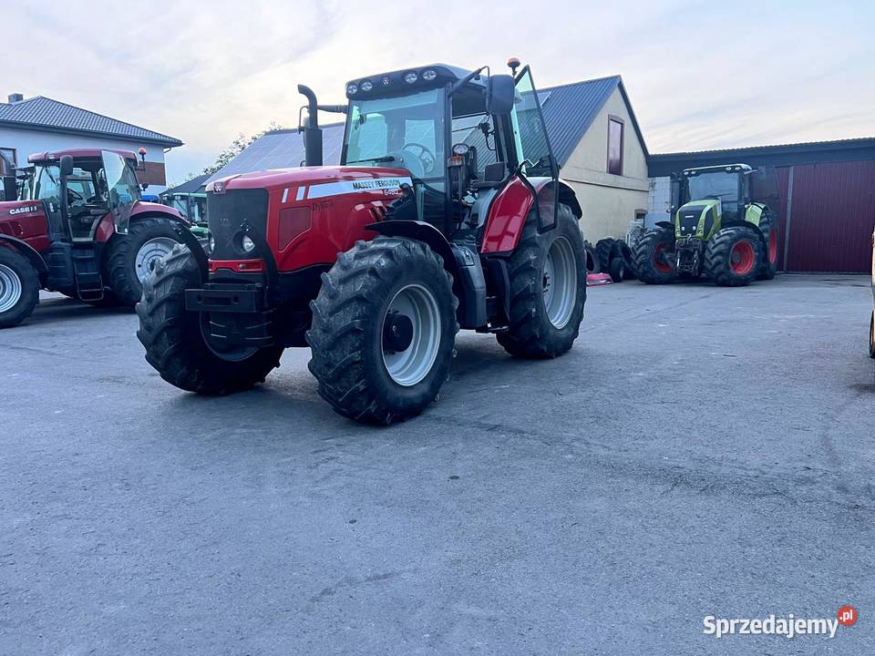 Massey Ferguson 6480 Massey Ferguson Żabno