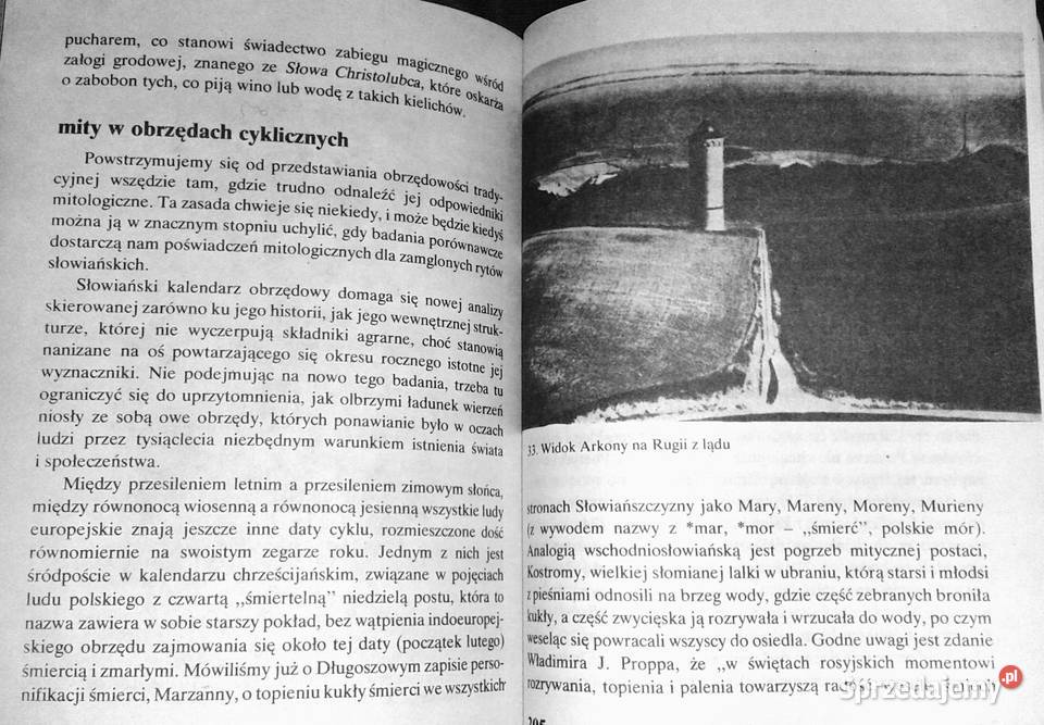 Mitologia Słowian Aleksander Gieysztor Chełm