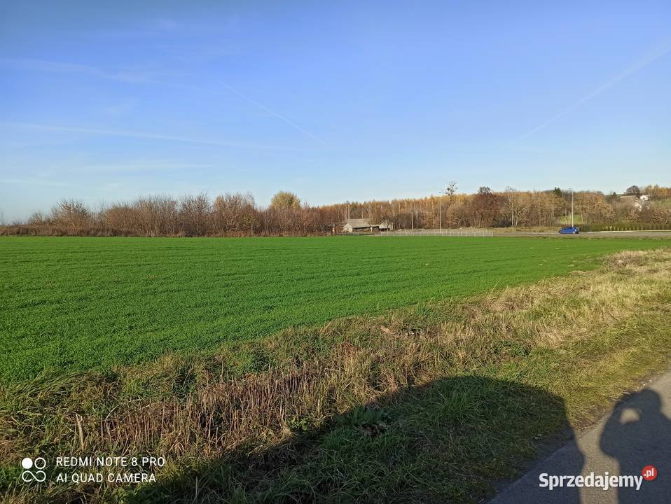 Działka inwestycyjna Trasa LublinPrzemyśl Sprzedaż Jabłonna Druga