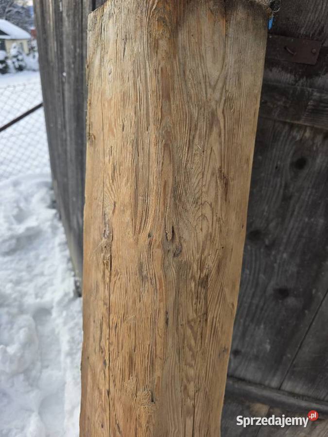 Stara belka Zakopane