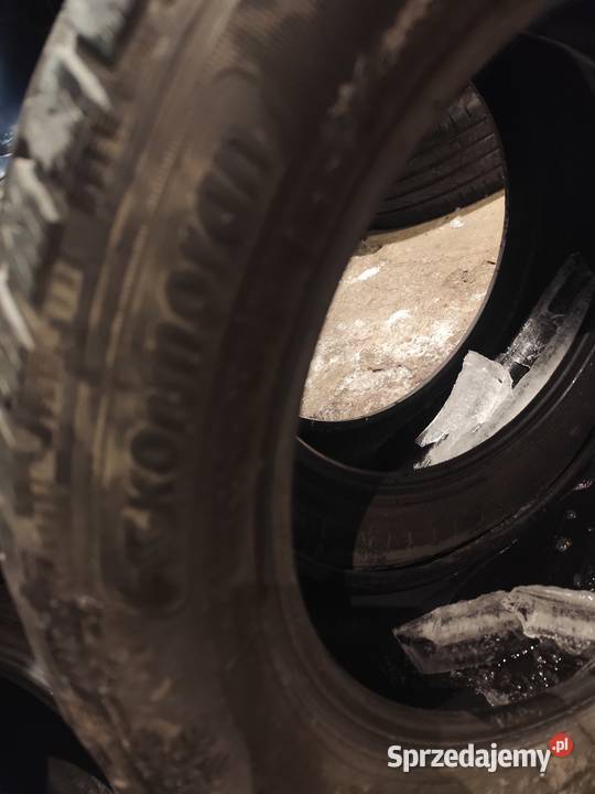 2x 2255517 kormoran snów dot2718 Bielsko-Biała