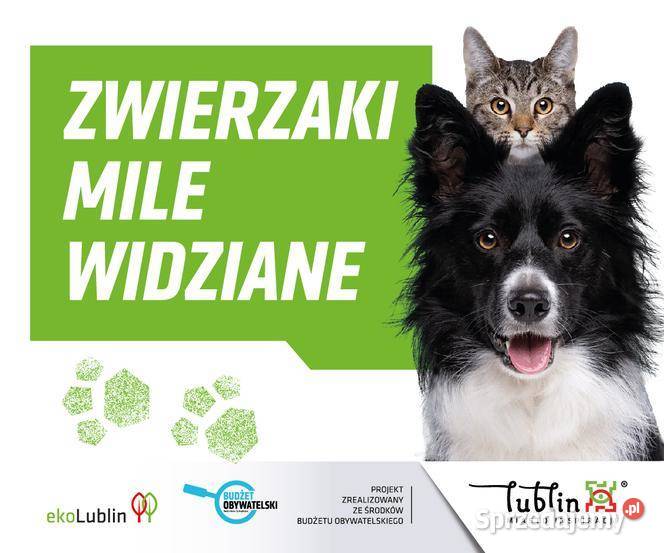 Zaprawa szybkowiążąca AZ 131 ALPOL Lublin 10 Dom i Ogród lubelskie sprzedam