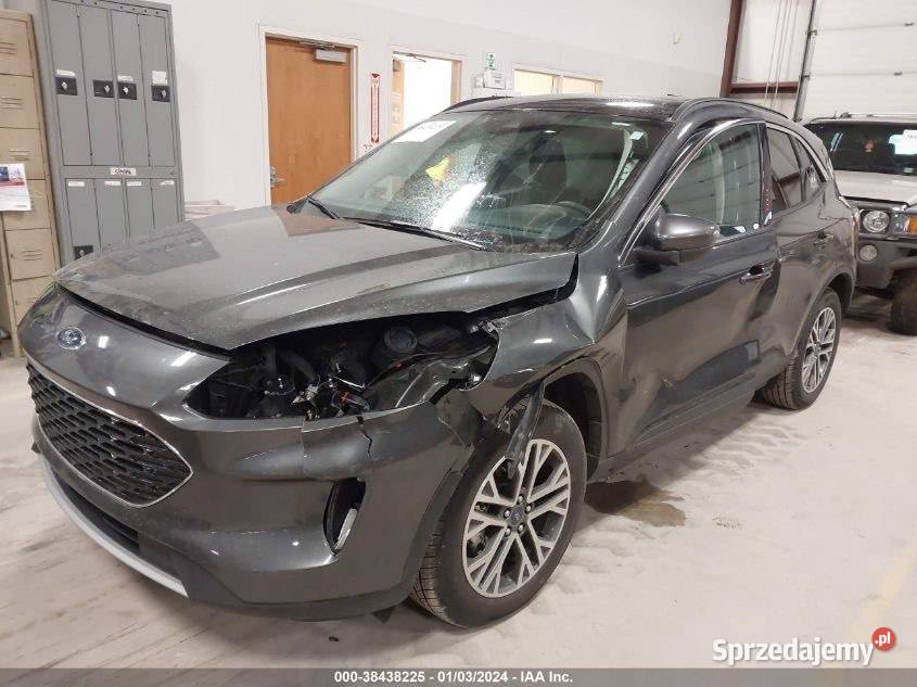 FORD KUGA ESCAPE 2020 USA STANY KANADA szary wielkopolskie Tarnowo Podgórne