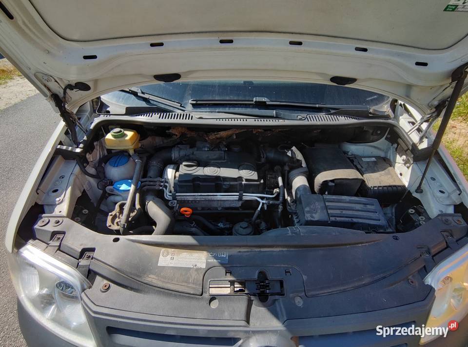 Caddy 19 Brzeg Dolny