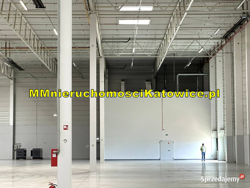 Magazyny do wynajęcia łódzkie A1 różne 3441m2 Piotrków Trybunalski