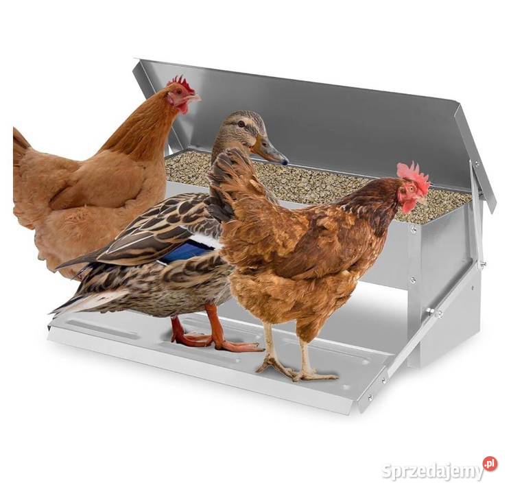Automatyczny karmnik kur z ocynkowanej stali Osięciny