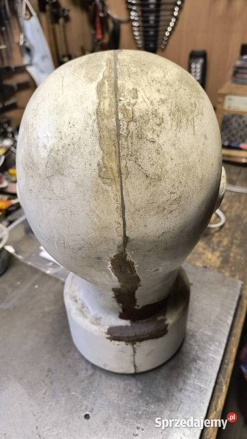 Model ludzkiej głowy