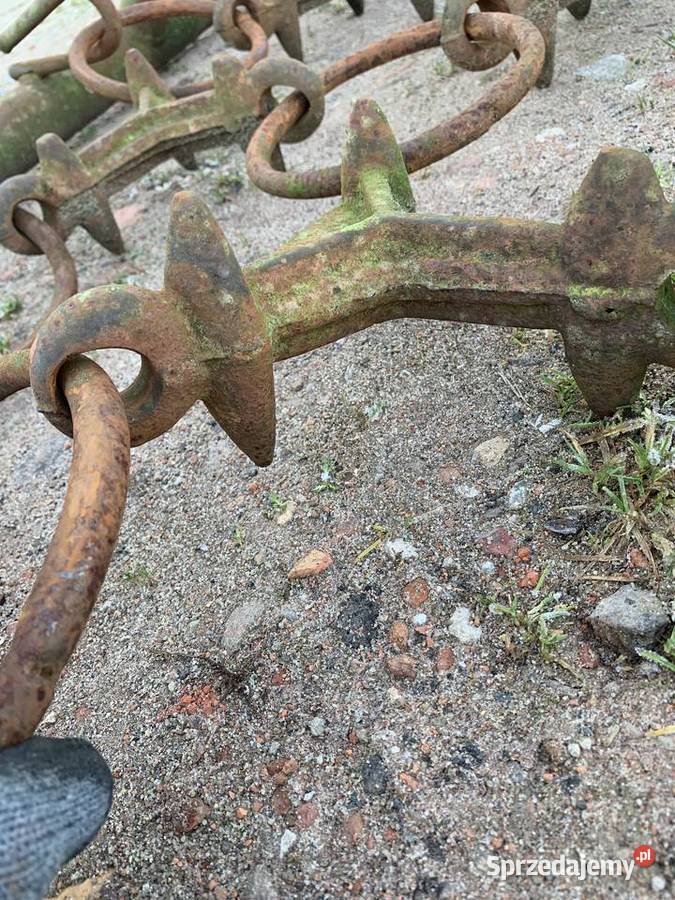 Włóka łąkowopolowa Włóki