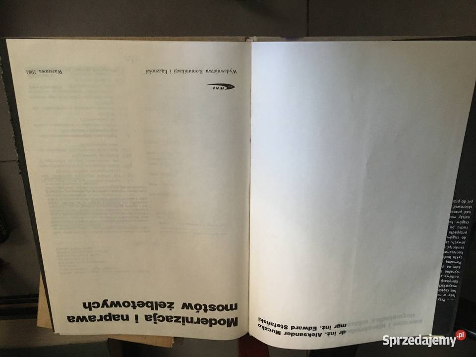 Modernizacja i naprawa mostów żelbetowych