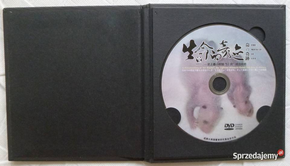 Film DVD Cud życia Panda 51 gramów DVD Warszawa
