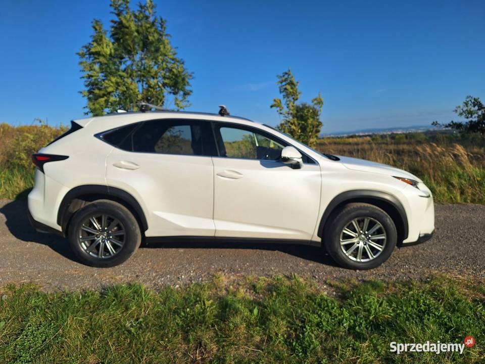 LEXUS NX 200T Modlnica