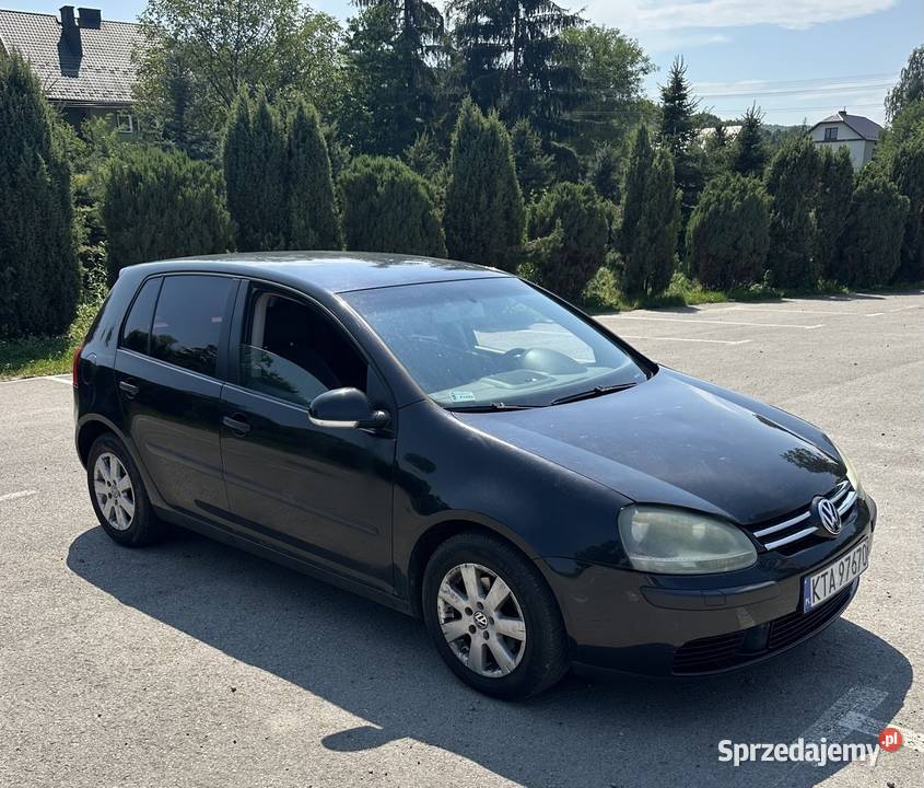 VW golf V 16 gaz 2004r 339000km Strzegocice