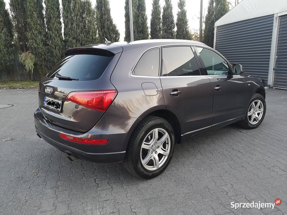 zadbany Ful Zamiana Poznań