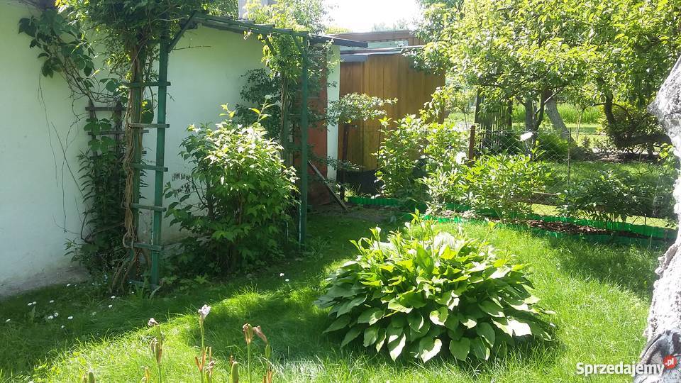 Sprzedam Ogródek Działkowy Gorzów Wielkopolski