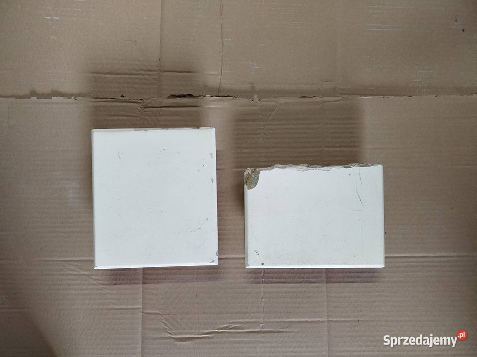 Kafel Piecowy Zabytkowy Paul ADASCH Krotoschin Laski sprzedam