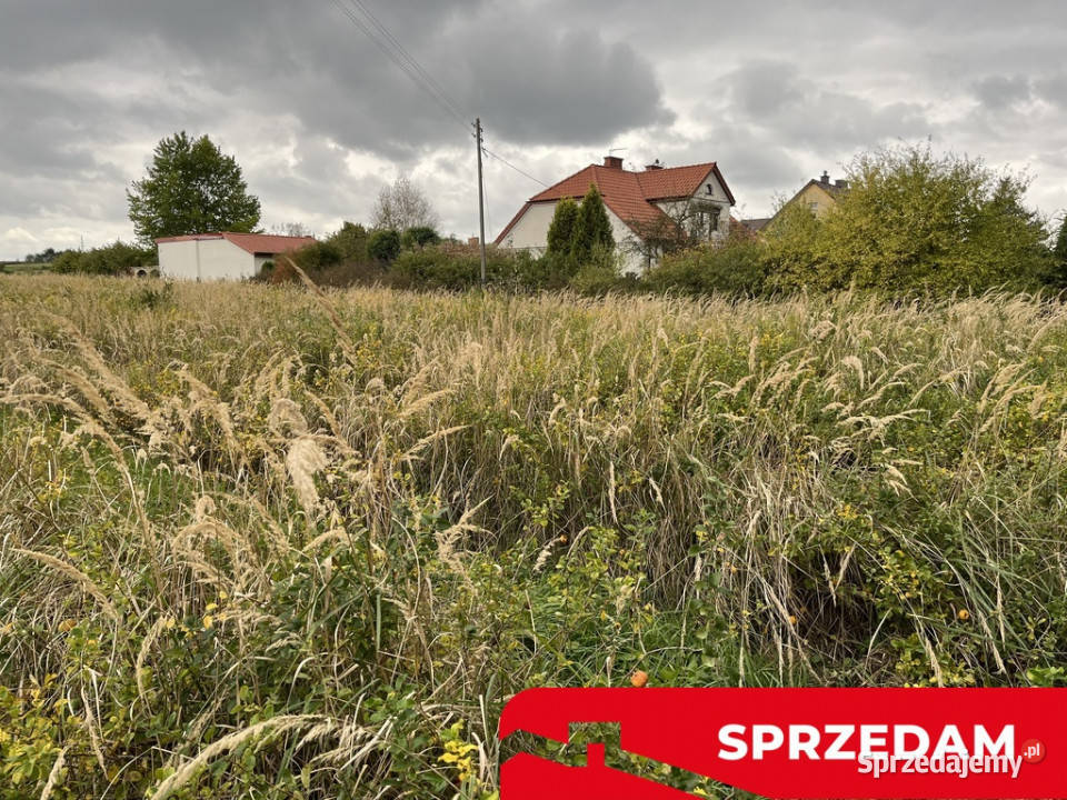 Działka z wykonanym podziałem w Końskowoli