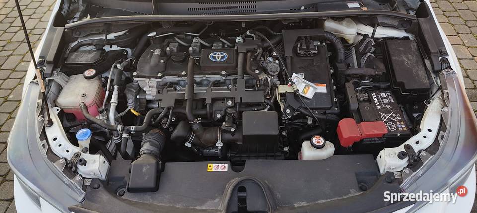 Toyota Corolla śląskie Rybnik