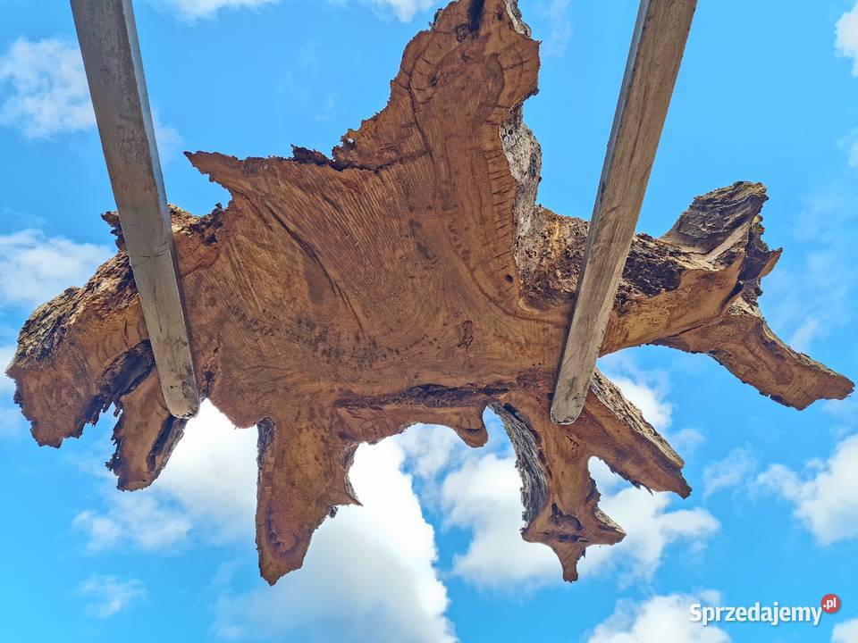 Plastry dębowe pakiet 72sztuk Biznes i Przemysł Zieleniec