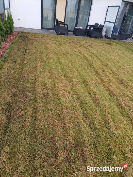 Wertykulacja trawników pomorskie Lębork sprzedam