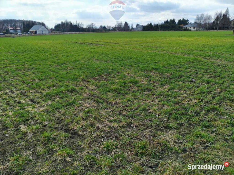 Działka budowlana w pobliżu Płocka Sprzedaż Miszewko Strzałkowskie sprzedam