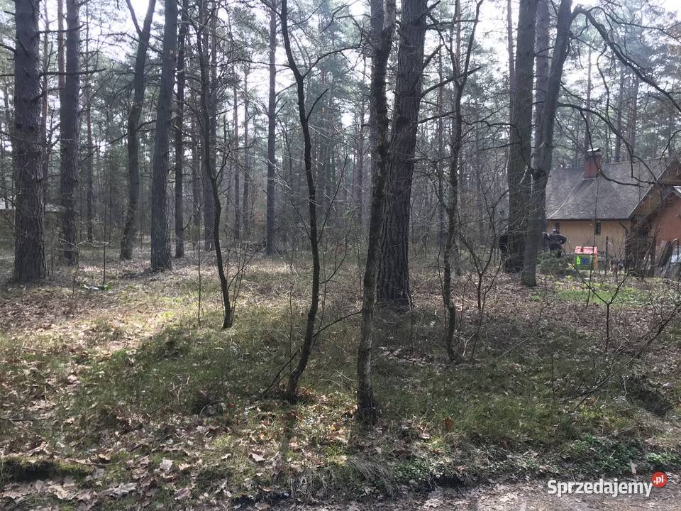 Świetna działka sprzedam Sprzedaż sprzedam