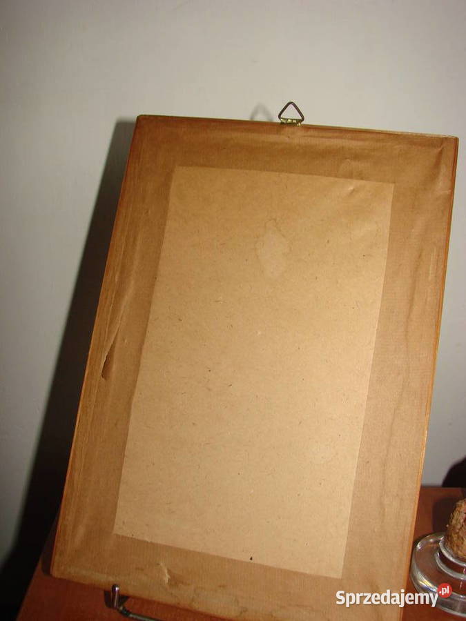 suszone kwiaty na płótnie w ramce PRL Pruszcz Gdański