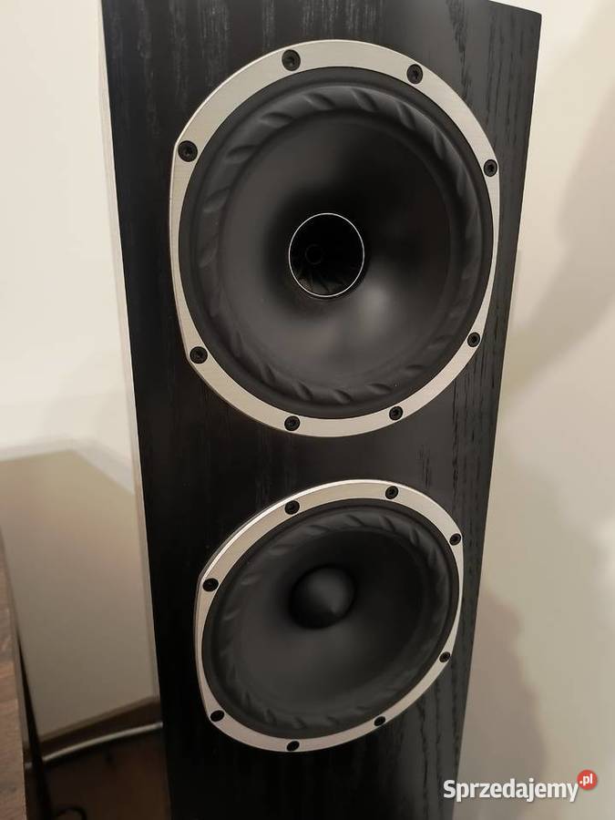 Głośniki kolumny podłogowe Fyne Audio F 501 Wadlew
