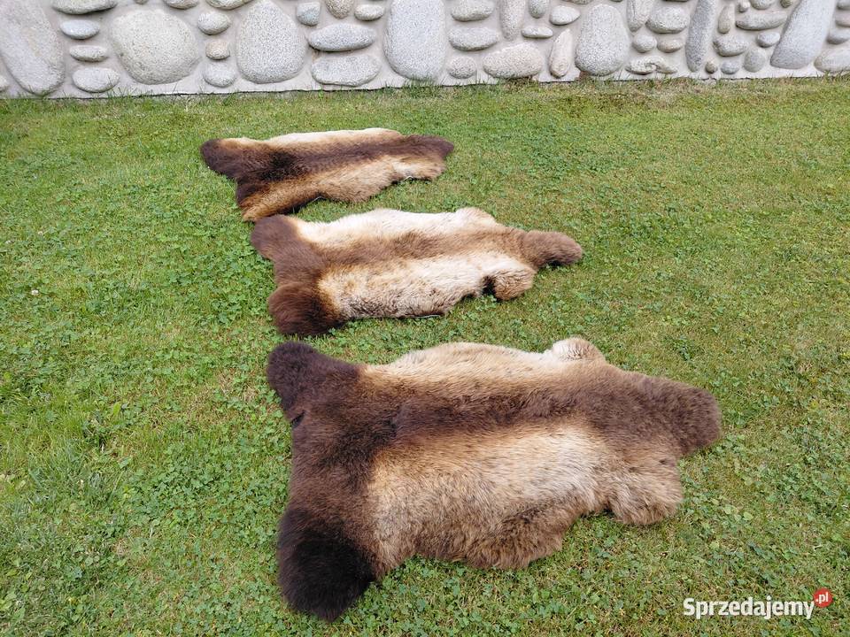 Skóra Owcza Naturalna Podpalana Futro