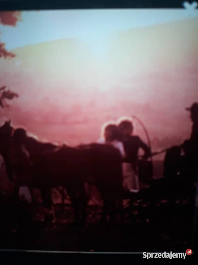 BIJELO DUGME Śta Bi Dao Da Si Na Moim Mjestu sprzedam