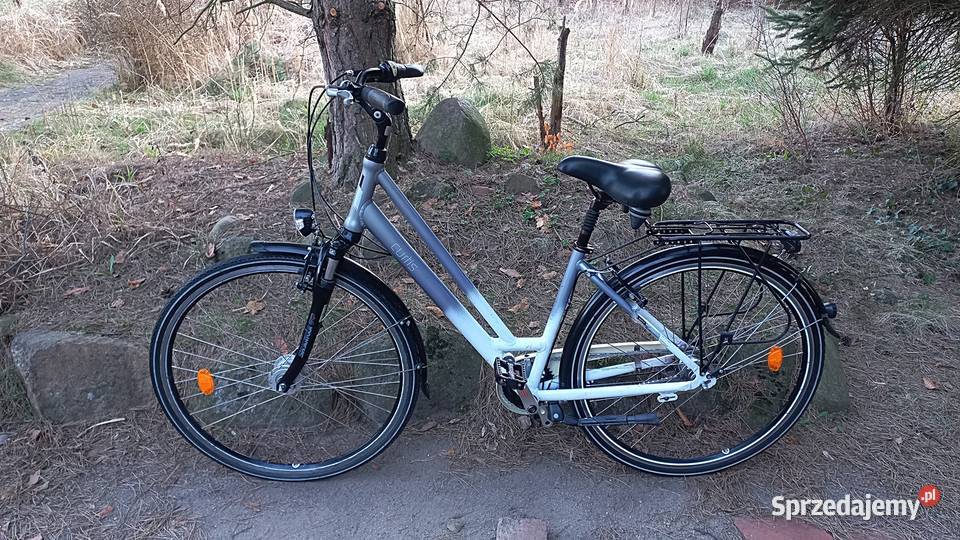 Alu Rower Miejski Damski Curtis Damka Nexus 7